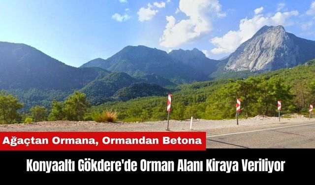 Konyaaltı Gökdere'de Orman Alanı Kiraya Veriliyor