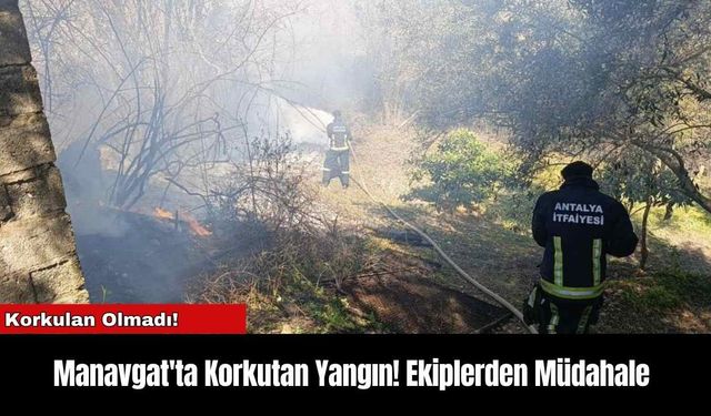 Manavgat'ta Korkutan Yangın! Ekiplerden Müdahale