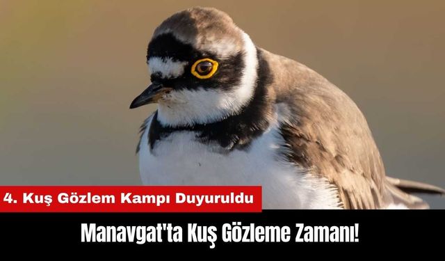 Manavgat'ta Kuş Gözleme Zamanı! 4. Kuş Gözlem Kampı Yaklaşıyor