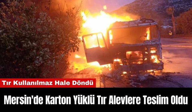 Mersin'de Karton Yüklü Tır Alevlere Teslim Oldu