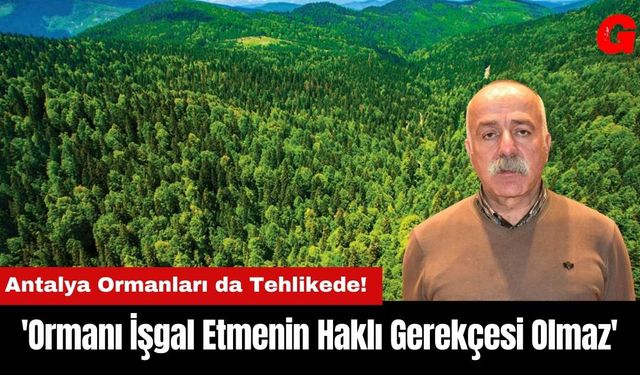 'Ormanı İşgal Etmenin Haklı Gerekçesi Olmaz'