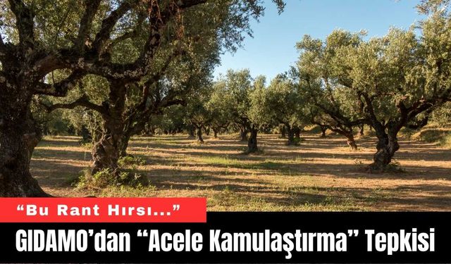 GIDAMO’dan “Acele Kamulaştırma” Tepkisi