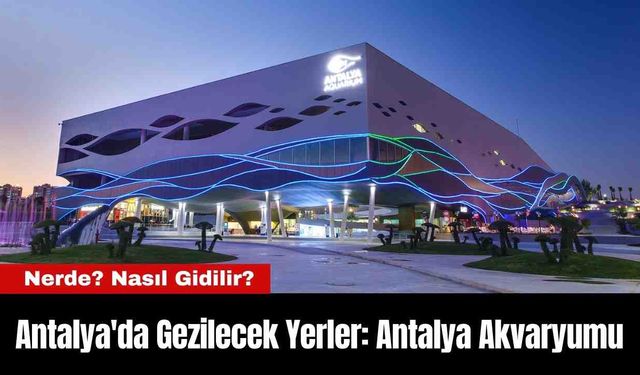 Antalya'da Gezilecek Yerler: Antalya Akvaryumu