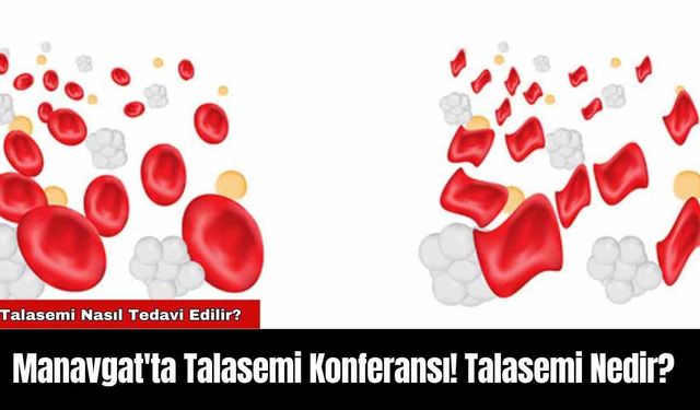 Manavgat'ta Talasemi Konferansı! Talasemi Nedir?