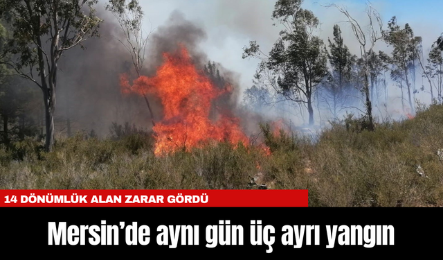 Mersin’de aynı gün üç ayrı yangın