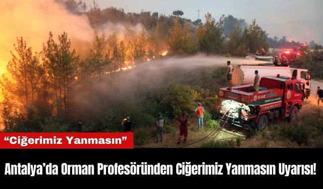 Antalya’da Orman Profesöründen Ciğerimiz Yanmasın Uyarısı!