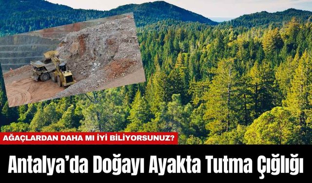 Antalya’da Doğayı Ayakta Tutma Çığlığı