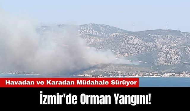İzmir'de Orman Yangını! Müdahale Sürüyor