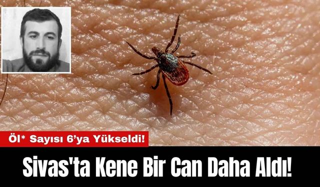 Sivas'ta Kene Bir Can Daha Aldı! Öl* Sayısı 6’ya Yükseldi!