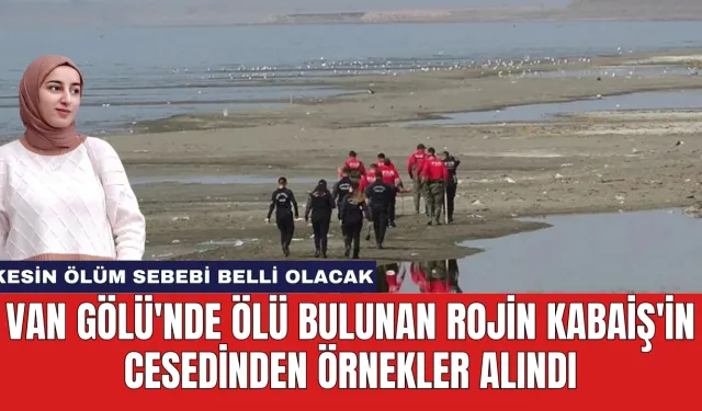 Van Gölü'nde Ölü Bulunan Rojin Kabaiş'in Cesedinden Örnekler Alındı