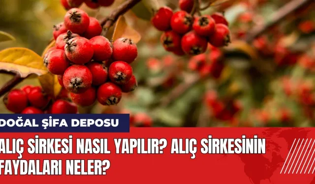 Alıç Sirkesi nasıl yapılır? Alıç sirkesinin faydaları neler?