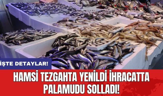 Hamsi tezgahta yenildi ihracatta palamudu solladı!