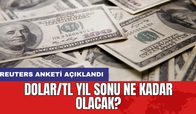 Reuters anketi açıklandı: Dolar/TL yıl sonu ne kadar olacak?