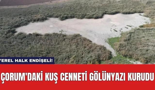 Çorum'daki Kuş Cenneti Gölünyazı Kurudu: Yerel Halk Endişeli!