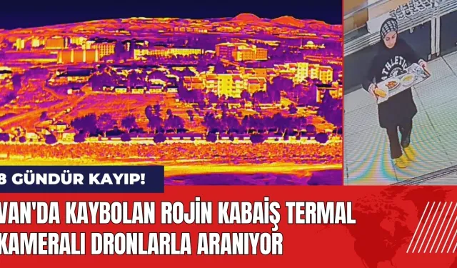 Van'da kaybolan Rojin Kabaiş termal kameralı dronlarla aranıyor