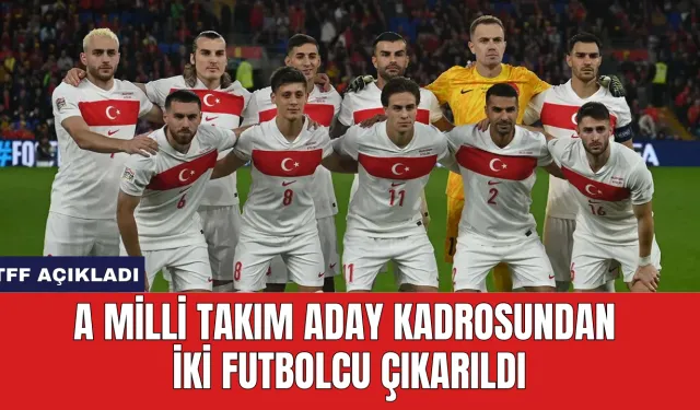 A Milli Takım Aday Kadrosundan İki Futbolcu Çıkarıldı