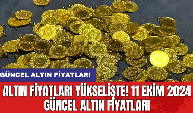 Altın Fiyatları yükselişte! 11 Ekim 2024 Güncel Altın Fiyatları