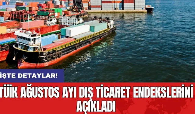 TÜİK Ağustos ayı dış ticaret endekslerini açıkladı