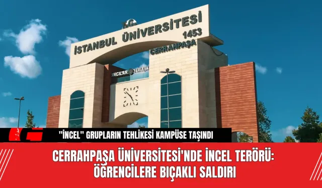 Cerrahpaşa Üniversitesi'nde İncel Terörü: Öğrencilere B*çaklı S*ldırı