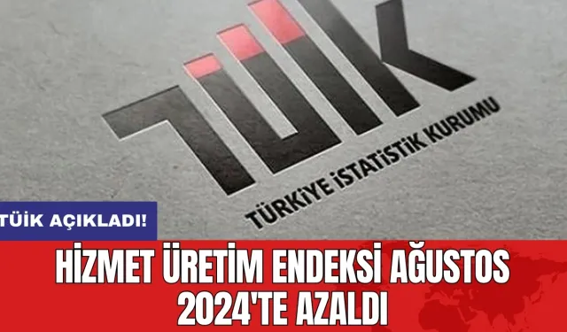 TÜİK Açıkladı! Hizmet Üretim Endeksi Ağustos 2024'te Azaldı