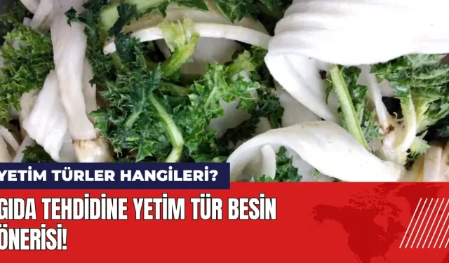 Gıda tehdidine yetim tür besin önerisi! Yetim besin türleri hangileri?