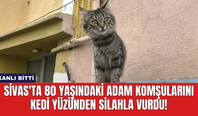 Sivas'ta 80 Yaşındaki Adam Komşularını Kedi Yüzünden Silahla Vurdu!