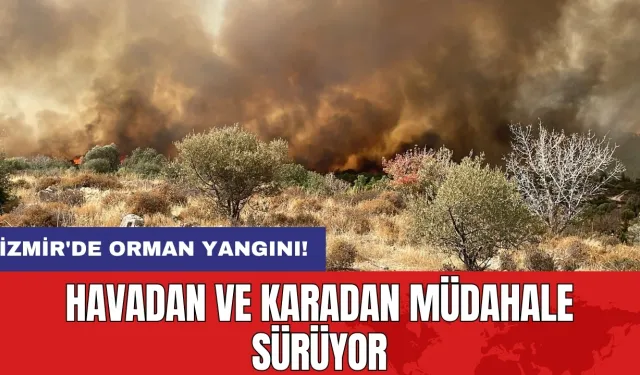 İzmir'de orman yangını! Havadan ve karadan müdahale sürüyor