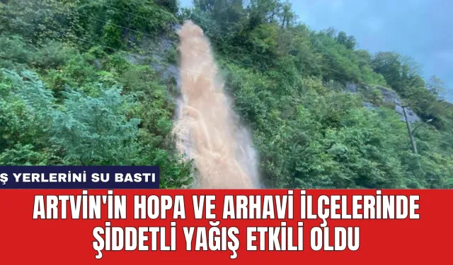 Artvin'in Hopa ve Arhavi İlçelerinde Şiddetli Yağış Etkili Oldu