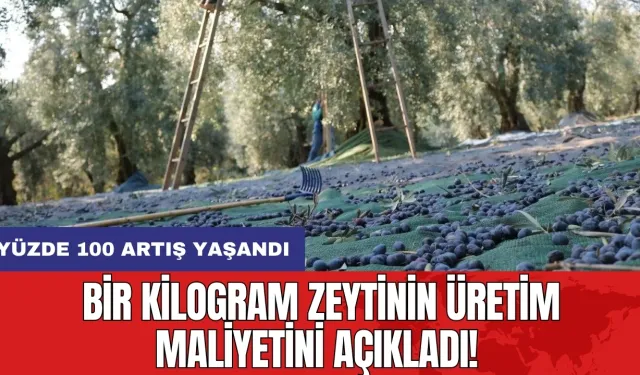 Bir kilogram zeytinin üretim maliyetini açıkladı!