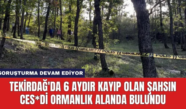 Tekirdağ'da 6 Aydır Kayıp Olan Şahsın Ces*di Ormanlık Alanda Bulundu