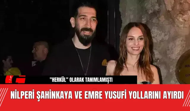 Nilperi Şahinkaya ve Emre Yusufi yollarını ayırdı!