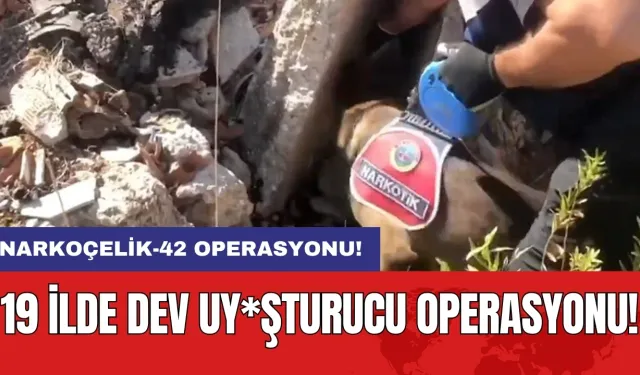 Narkoçelik-42 operasyonu: 19 ilde dev uy*şturucu operasyonu!