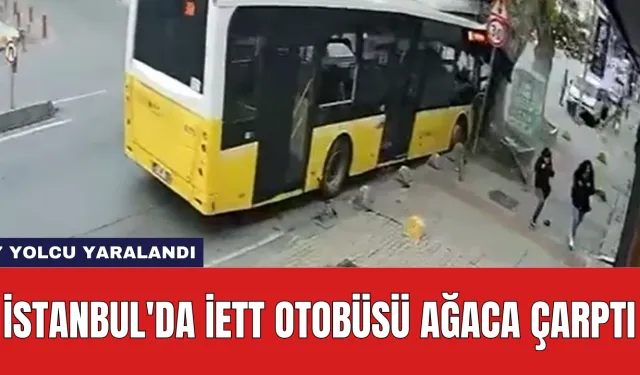 İstanbul'da İETT Otobüsü Ağaca Çarptı: 7 Yolcu Yaralandı