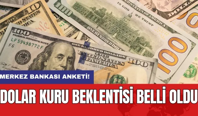 Merkez Bankası anketi: Dolar kuru beklentisi belli oldu