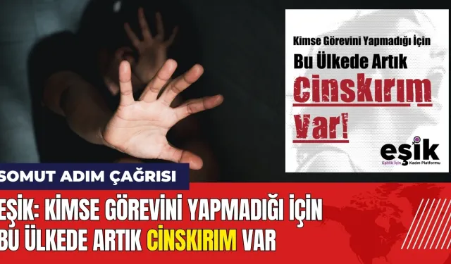 EŞİK'ten somut adım çağrısı: Bu ülkede artık cinskırım var