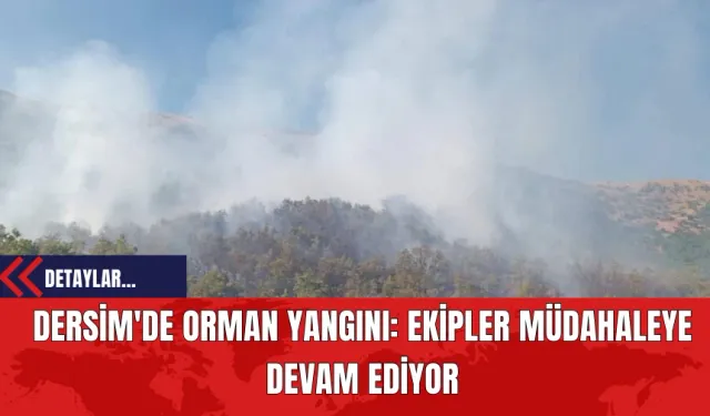 Dersim'de Orman Yangını: Ekipler Müdahaleye Devam Ediyor