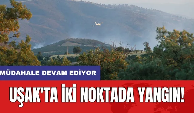 Uşak'ta iki noktada yangın! Müdahale devam ediyor