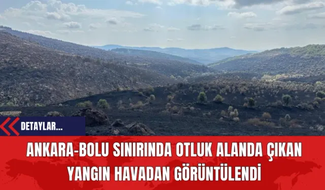 Ankara-Bolu Sınırında Otluk Alanda Çıkan Yangın Havadan Görüntülendi