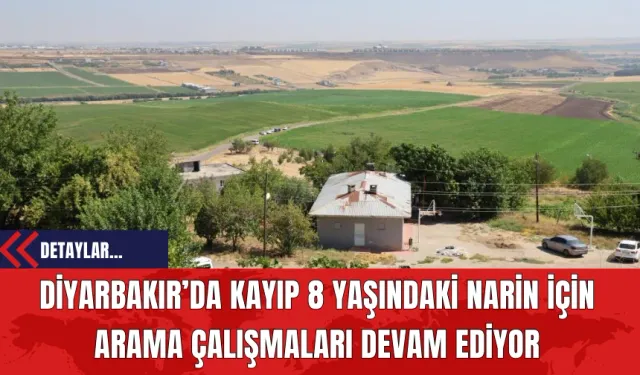 Diyarbakır’da Kayıp 8 Yaşındaki Narin İçin Arama Çalışmaları Devam Ediyor