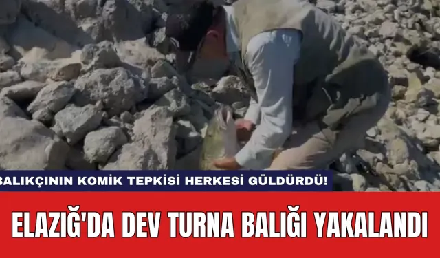 Elazığ'da dev turna balığı yakalandı: Balıkçının komik tepkisi herkesi güldürdü!