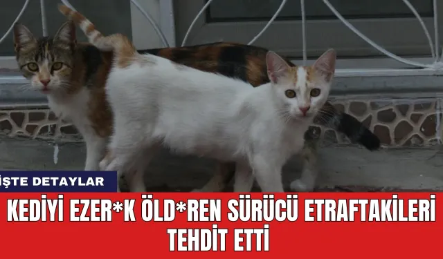 Kediyi ezer*k öld*ren sürücü etraftakileri tehdit etti! İşte o anlar