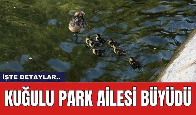 Kuğulu Park ailesi büyüdü