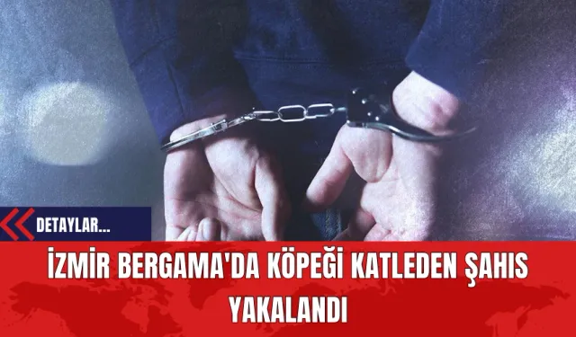 İzmir Bergama'da Köpeği Katleden Şahıs Yakalandı