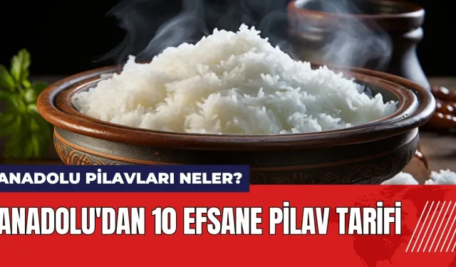 Anadolu pilavları neler? Anadolu'dan 10 efsane pilav tarifi