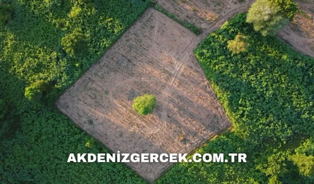 Antalya Kepez'de mahkemeden satılık 486 m² arsa