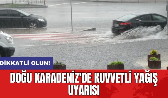 Doğu Karadeniz'de kuvvetli yağış uyarısı: Dikkatli olun!