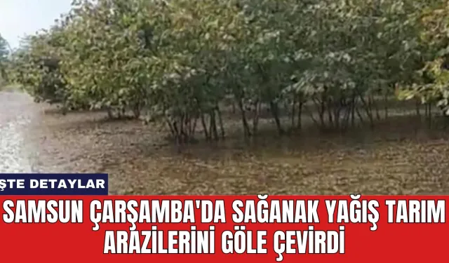 Samsun Çarşamba'da Sağanak Yağış Tarım Arazilerini Göle Çevirdi