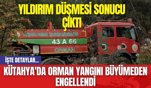 Kütahya'da Orman Yangını Büyümeden Engellendi