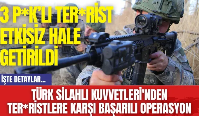 Türk Silahlı Kuvvetleri'nden ter*ristlere karşı başarılı operasyon