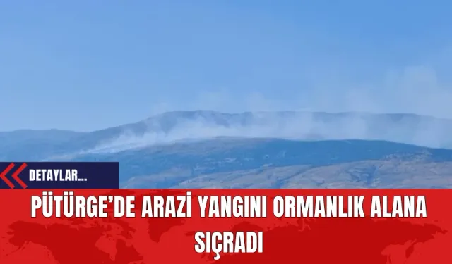 Pütürge’de Arazi Yangını Ormanlık Alana Sıçradı